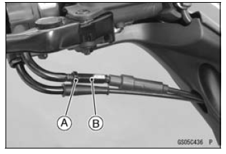 Fuel System (DFI)