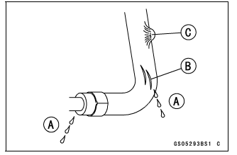 Fuel System (DFI)