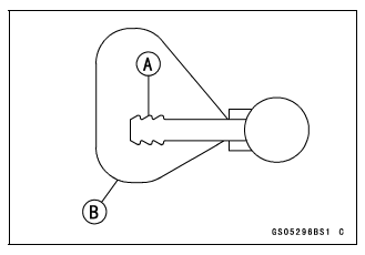 Fuel System (DFI)