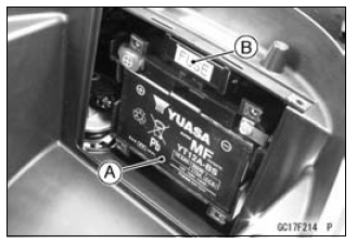 Fuel System (DFI)