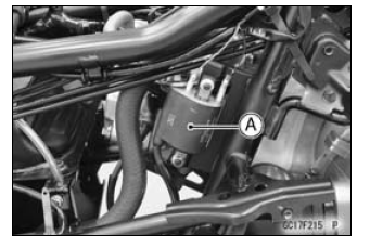 Fuel System (DFI)