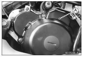 Fuel System (DFI)