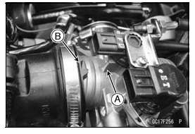 Throttle Body Assy