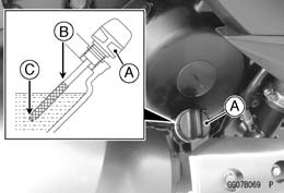 Engine Oil and Oil Filter